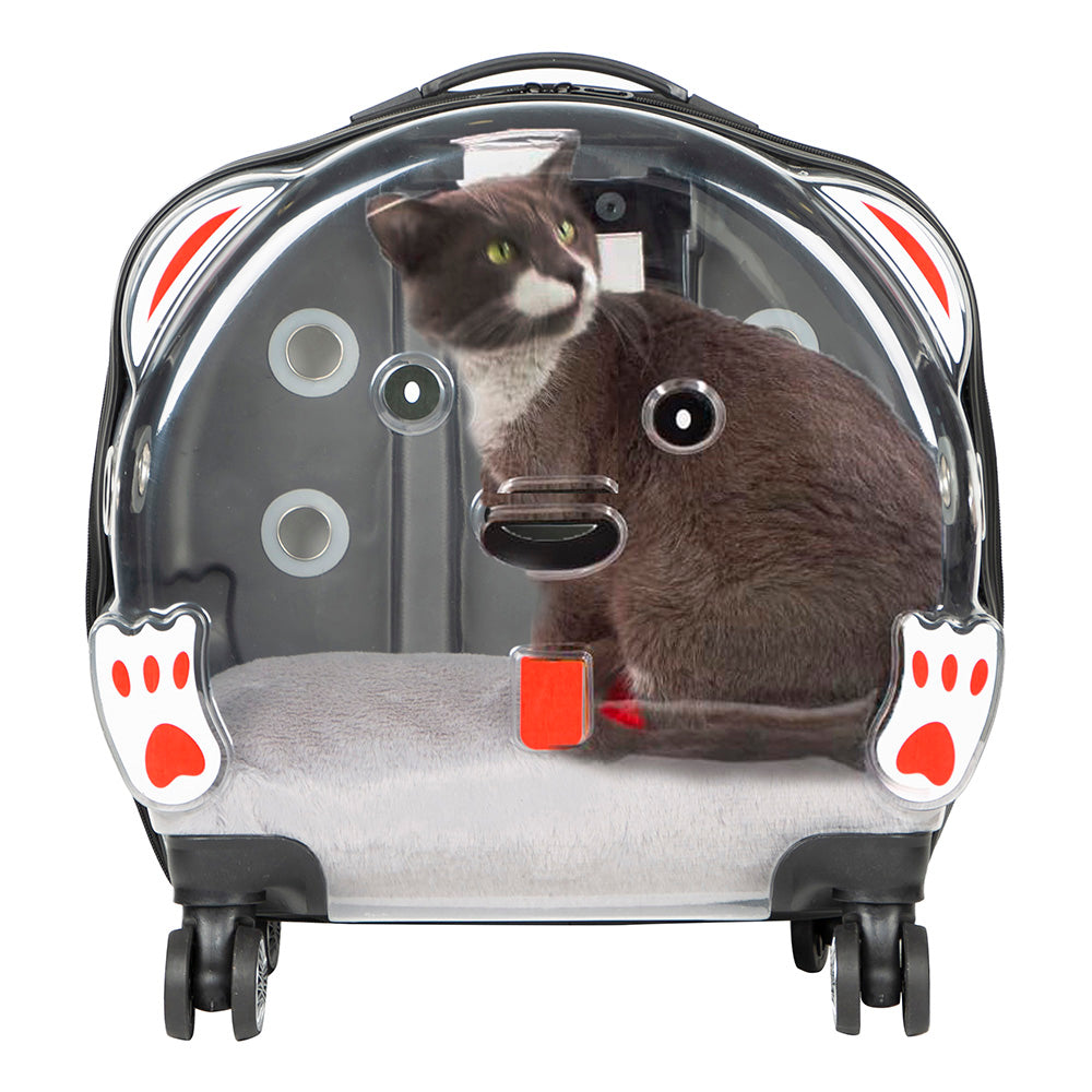 UnBranded ICE Pet Trolley Suitcase Gray
