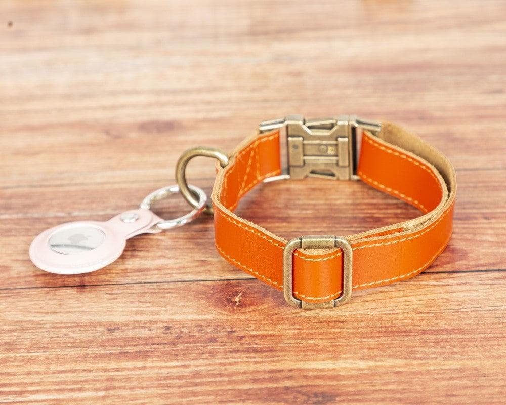 Bayelon Scobby Leather Dog Collar