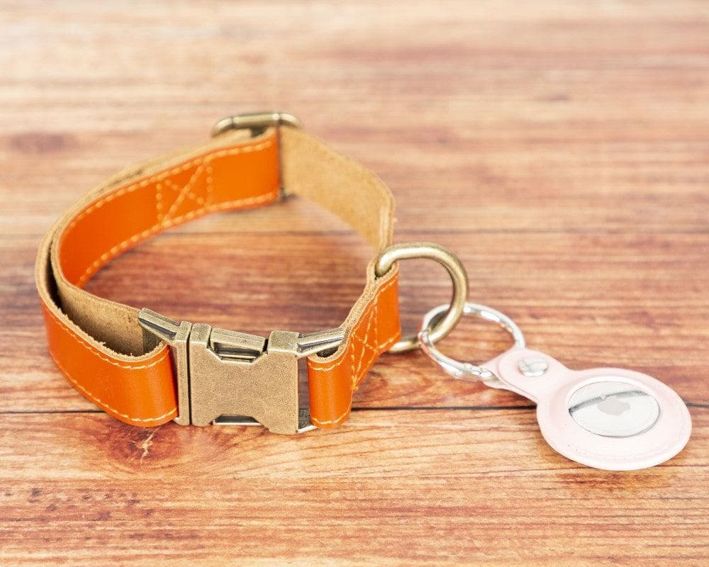 Bayelon Scobby Leather Dog Collar Coral