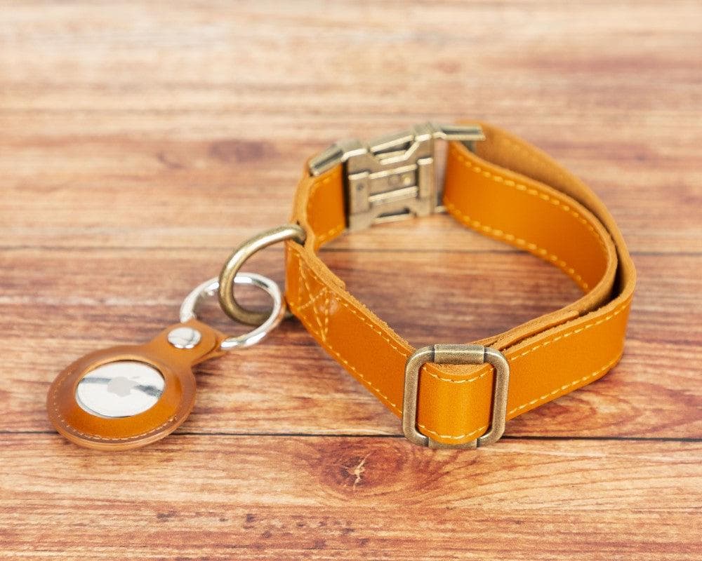 Bayelon Scobby Leather Dog Collar