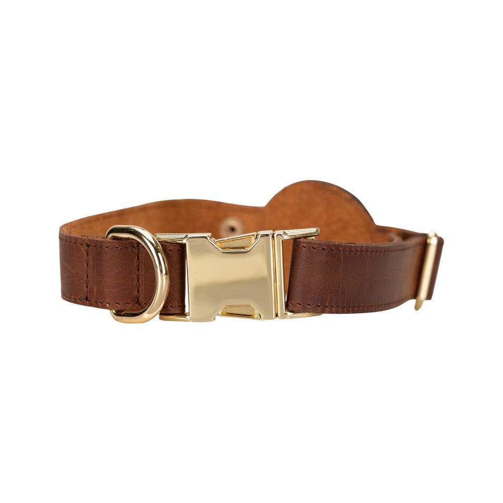 Bayelon Genuine Leather Pet Collar with Apple AirTag Slot